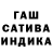Конопля семена Sergio Kurov