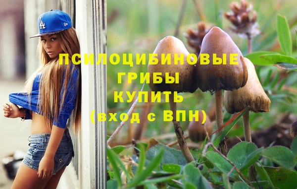 прущие крисы Майский