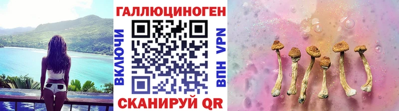 Купить где  Заводоуковск  Галлюциногенные грибы мухоморы 